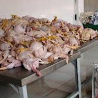 Thị trường - Tiêu dùng - Đưa gần 1 tấn gà thối đi tiêu thụ