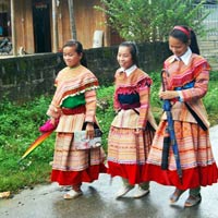 Tin tức trong ngày - Gần 80 cô gái Lào Cai mất tích bí ẩn