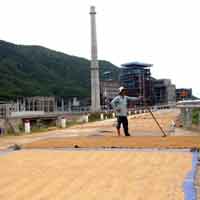 Tin tức trong ngày - Nhà thầu TQ "chạy làng", dân sống khổ