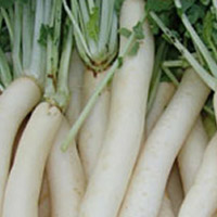 Sức khỏe đời sống - Top 7 thực phẩm "giải độc" vào mùa thu