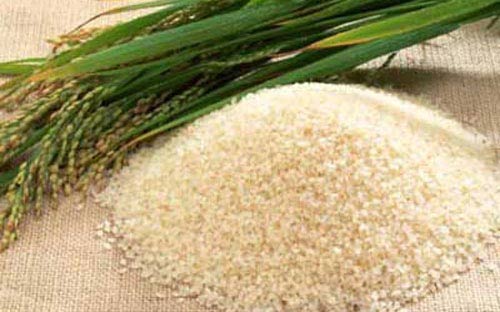 Giá lúa gạo giữ đà tăng - 1