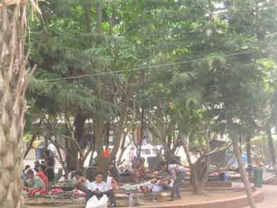 Những người chia vợi nỗi đau ung thư - 1