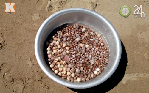 Ra biển... hốt sò! - 5