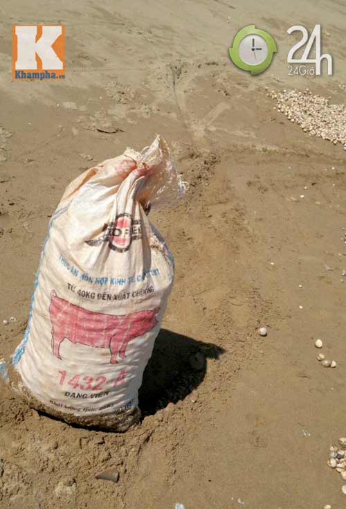 Ra biển... hốt sò! - 4