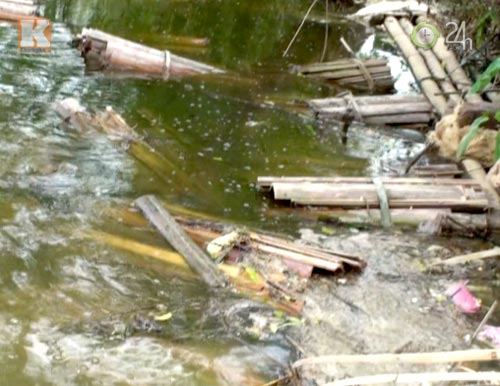 Tăm tre trắng nhờ... hóa chất - 3