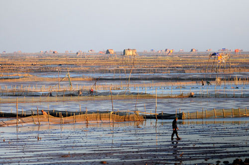 Chùm ảnh: Nước mắt sau cơn bão - 5