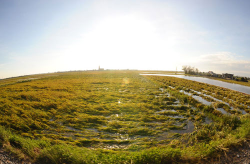 Chùm ảnh: Nước mắt sau cơn bão - 7