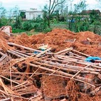 Tin tức trong ngày - Bà cụ đơn thân bị nhà đè chết trong bão