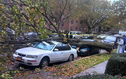 Chùm ảnh: Sức tàn phá dữ dội của bão Sandy - 1