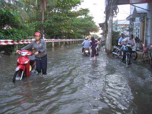 Người dân lại bì bõm lội trên đường - 4