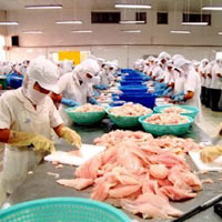 Kinh doanh - Bỏ ân hạn thuế: 'Bó tay' trước cái lý của Hải quan