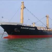 Tin tức trong ngày - Tàu Saigon Queen chìm, 4 thuyền viên mất tích