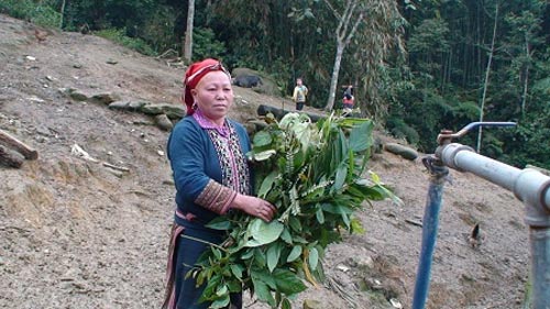 Người phụ nữ 11 lần tự đỡ đẻ cho mình - 2