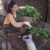 Tin tức trong ngày - Tăng lương, công chức trẻ vẫn ngậm ngùi