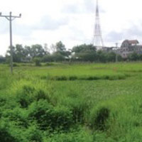 Tài chính - Bất động sản - Tiền sử dụng đất: Có thể nộp từng phần?