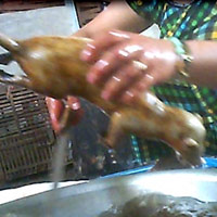 Tin tức trong ngày - Tận diệt thú rừng: Điểm mặt đầu nậu