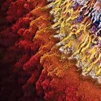 Tin tức trong ngày - Ai sẽ thống trị Trái đất trong tương lai?