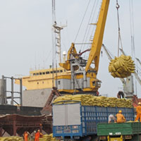 Thị trường - Tiêu dùng - Tiếc trăm tỷ, thất thu ngàn tỷ