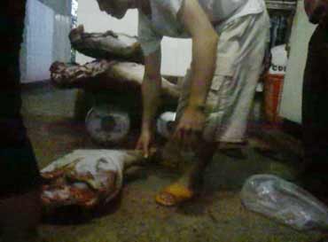 Khó dẹp nạn mua bán thịt thú rừng - 2