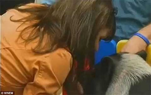 Hiệu trưởng hôn... lợn - 2