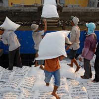 Thị trường - Tiêu dùng - Xuất khẩu gạo đã đứng số 1