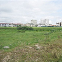 Tài chính - Bất động sản - Đòi đổi đất nông nghiệp lấy đất sổ đỏ