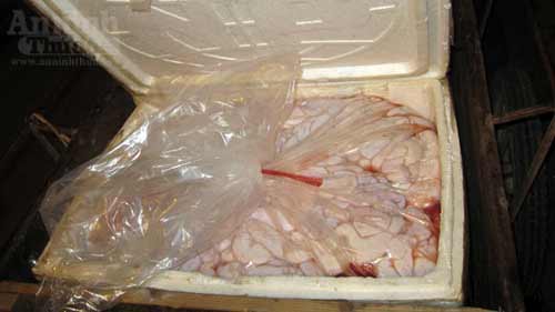 Tràng lợn "bẩn" lên hụt máy bay vào Nam - 4