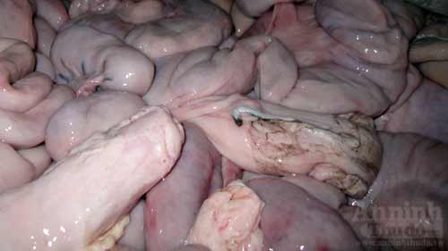 Tràng lợn "bẩn" lên hụt máy bay vào Nam - 5