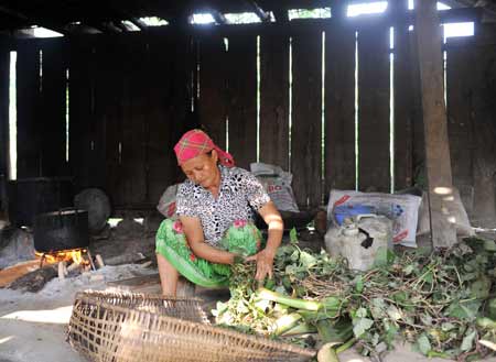 Tiếng ru buồn ở làng vô địch... đẻ - 8