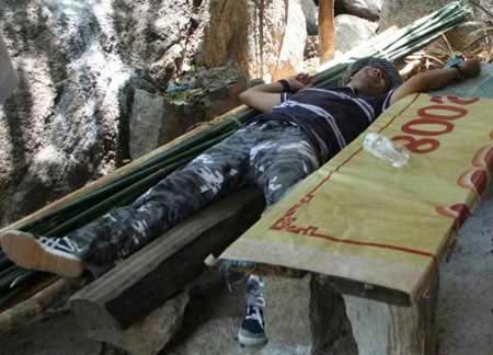 Theo chân thợ săn báu vật rừng - 3