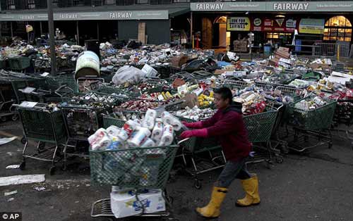 Dân New York bới rác tìm thức ăn - 2