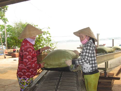 Đầu năm 2013: Lo gạo ế - 1