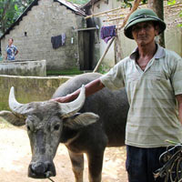 Tin tức trong ngày - “Iêng phô ky?” - Anh nói gì?