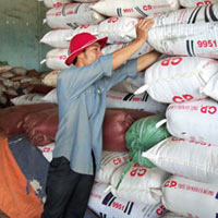 Thị trường - Tiêu dùng - Nghịch lý cà phê mua cao, bán thấp vẫn lãi