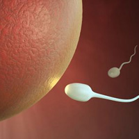 Sức khỏe đời sống - Tập thể dục giúp tinh binh bơi nhanh hơn