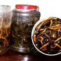 Tin tức trong ngày - Hiểm họa từ… rượu anh túc