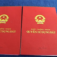 Pháp luật - Vợ chồng giám đốc lừa “ngọt” ngân hàng