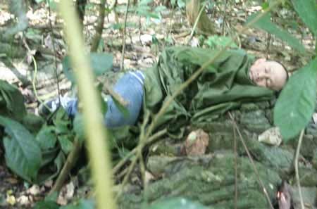 Báu vật rừng với những cuộc chiến ngầm - 3