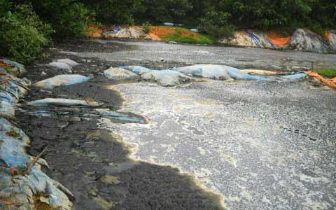 Hàng trăm hộ dân sống chung với mùi hôi thối - 2