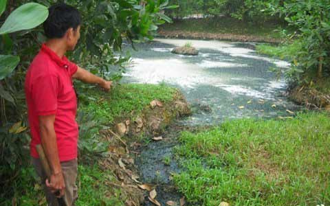 Hàng trăm hộ dân sống chung với mùi hôi thối - 3
