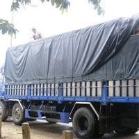 Tin tức trong ngày - Giòi lúc nhúc trên xe chở 15 tấn xương thối