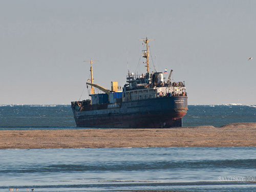 Nga: Tìm thấy tàu chở 700 tấn quặng vàng - 1