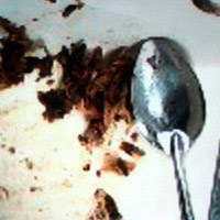 Tin tức trong ngày - Hơn 1.000 công nhân bỏ việc vì đồ ăn có giòi