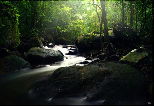 Những điểm cần nhớ khi du lịch bụi Phú Quốc - 6