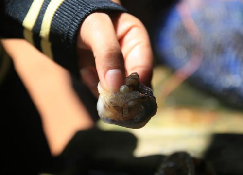 Những điểm cần nhớ khi du lịch bụi Phú Quốc - 7