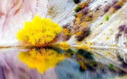 'Xứ sở thần tiên’ ở New Zealand - 3