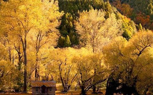 'Xứ sở thần tiên’ ở New Zealand - 10