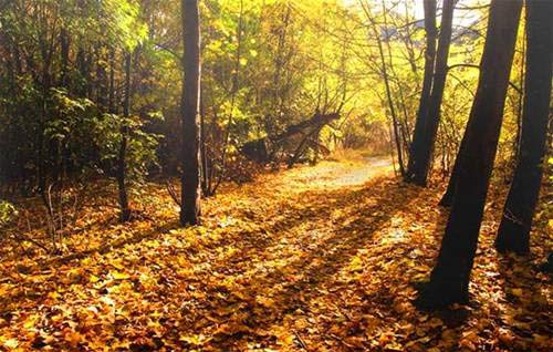 'Xứ sở thần tiên’ ở New Zealand - 8