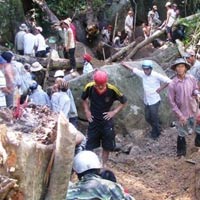 Tin tức trong ngày - Điều tra hình sự vụ ăn chặn kỳ nam