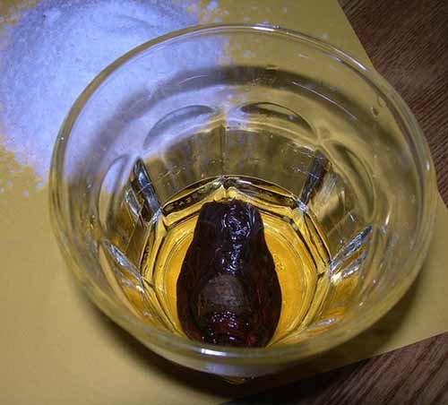 Hãi hùng cocktail ngâm... ngón chân người - 2